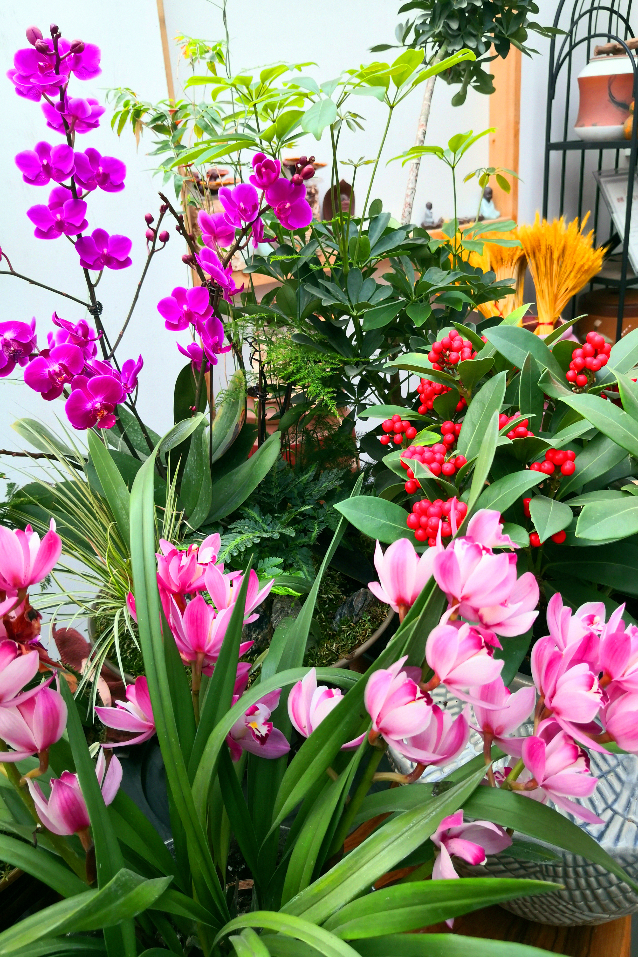 东营最大的花卉批发市场在哪里,东营地区哪里有花卉市场