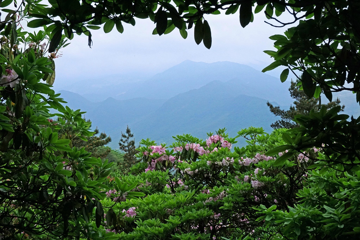 天台华顶山森林公园历史,李白来过天台吗