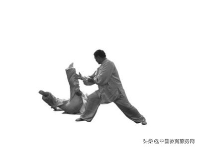 心意六合拳鹰形打法,心意拳鹰捉练法视频