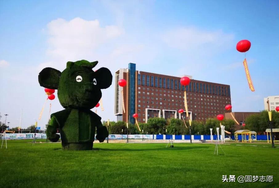 吉林动画学院专业排名,吉林大学动画专业排名