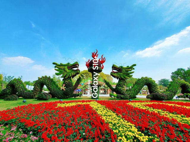 中国军事禁地风景区,玄武湖是中国最大的皇家园林湖