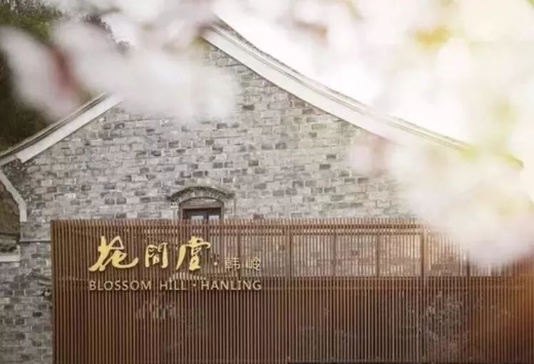 火爆到车都停不下！高新区又一综合体试营业，还有一个……