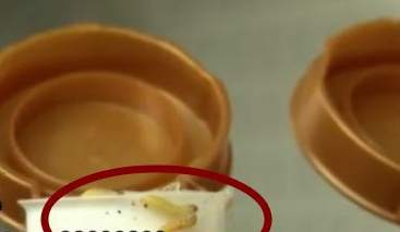 海天酱油里有蛆是怎么回事,海天酱油长蛆是怎么回事