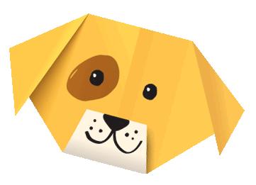 美国家庭都养什么犬,美国人喜欢养什么猛犬