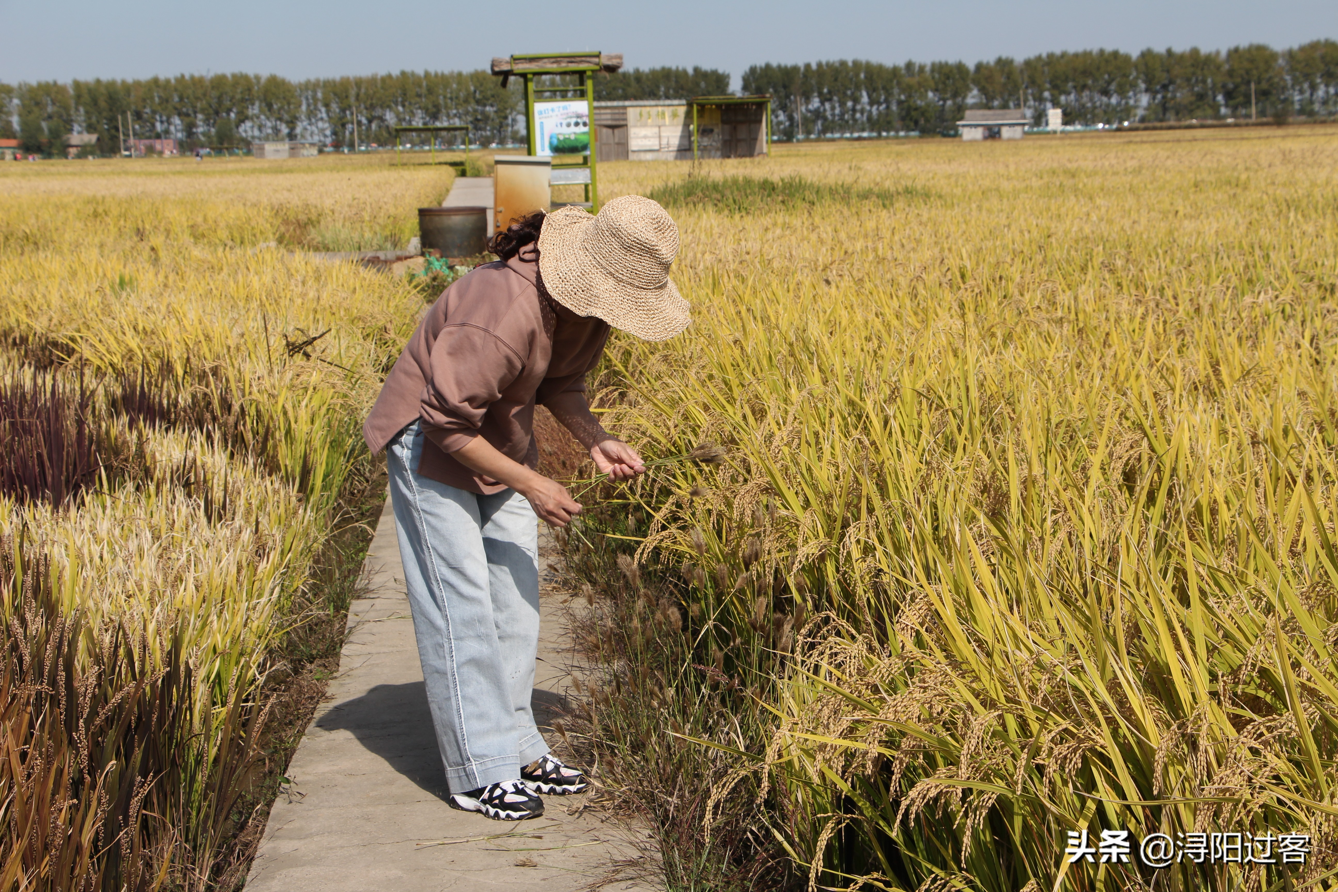 沈阳稻梦空间小火车,沈阳稻梦空间怎么样