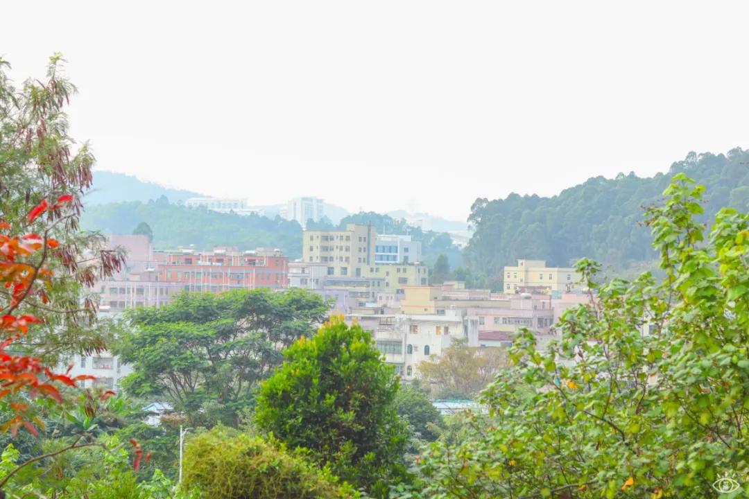 深圳儿童乐园要预约吗,深圳儿童乐园室内免费游乐场