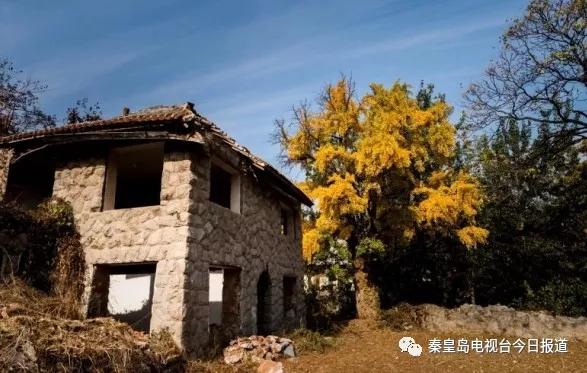 秦皇岛最早的楼房,秦皇岛十大闹市区