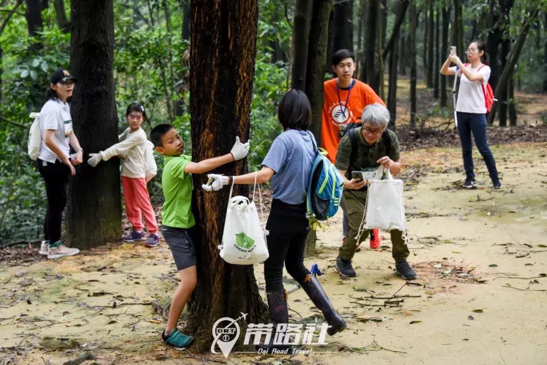 绿色环保行动实践活动总结,用行动践行绿色环保理念