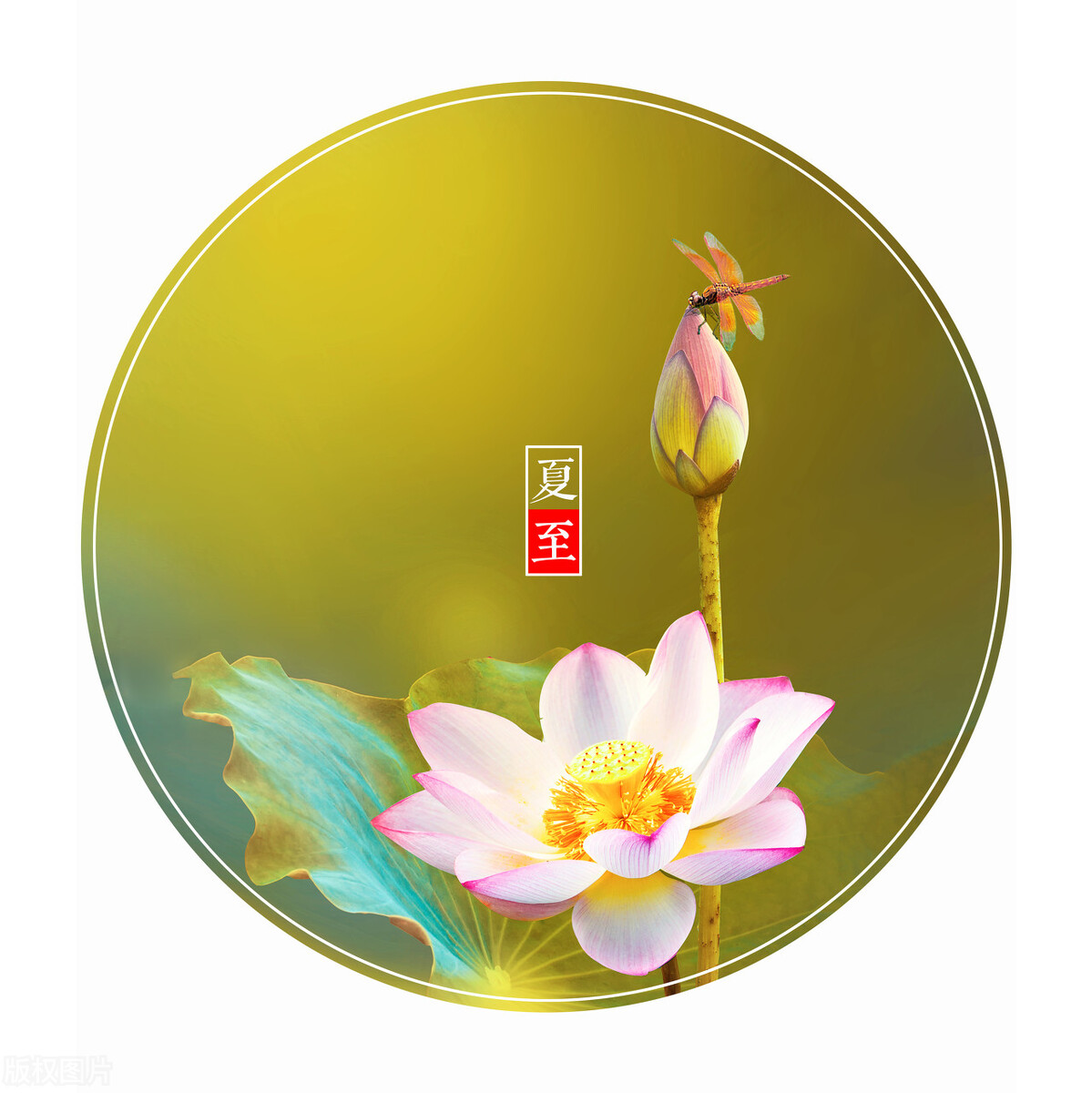 夏至吃什么水果最宜,炎热的夏至吃什么水果合适