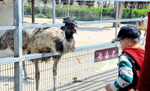 春游江淮请你来滁州版,春游江淮等您来