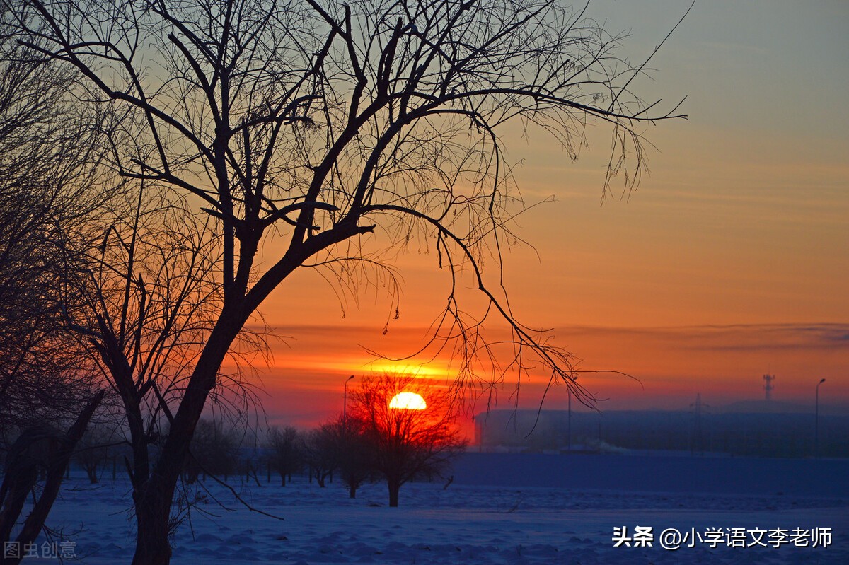 作文素材关于冬天的优美段落,描写冬天的作文精选篇