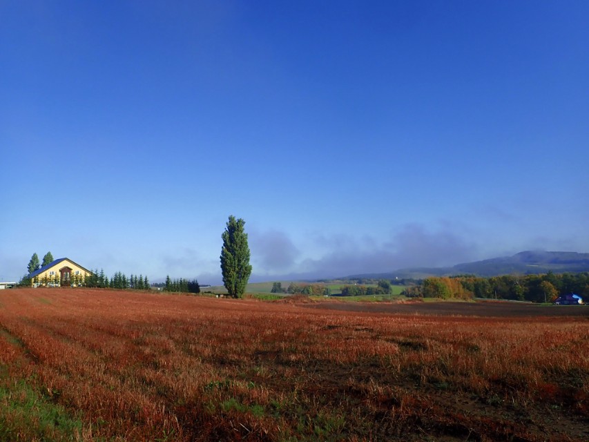 北海道登别到美瑛町需多久,日本北海道美瑛川的雪景
