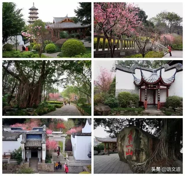 福建各县姓氏人口排名,福建姓氏排行榜快来看看你排第几