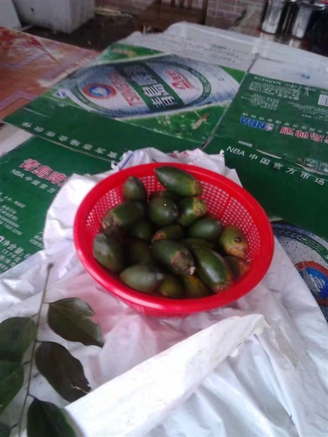 了解海南,我所了解的生活