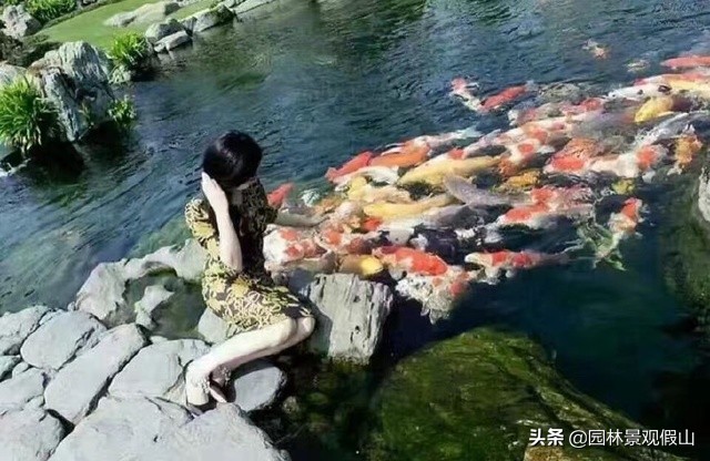园林假山鱼池设计教程,鱼池假山怎样建才好看