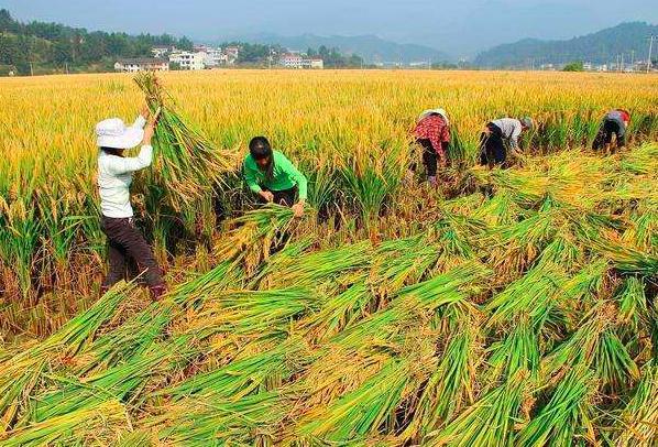 罗隐最经典的5首诗,罗隐十首经典诗词