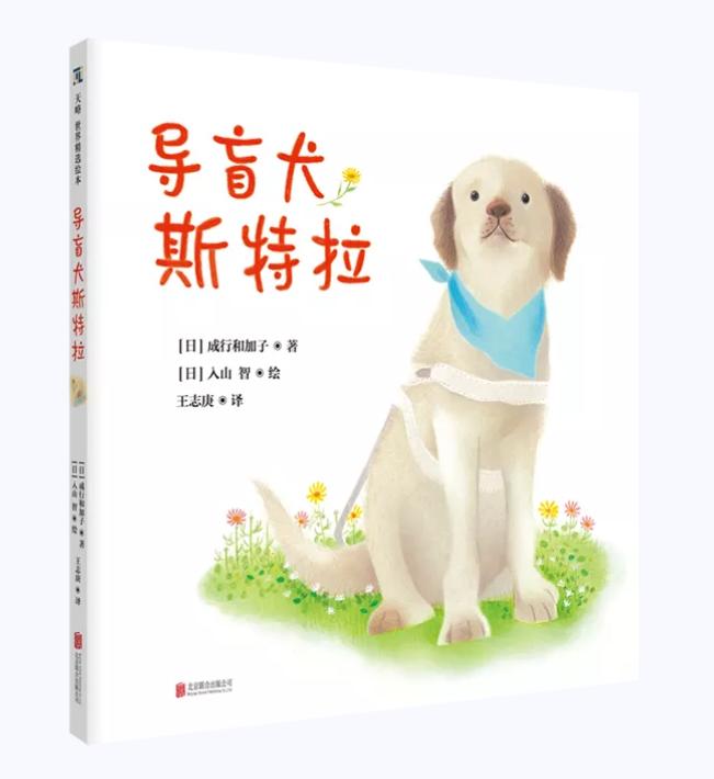 值得看的4本绘本,10本经典绘本