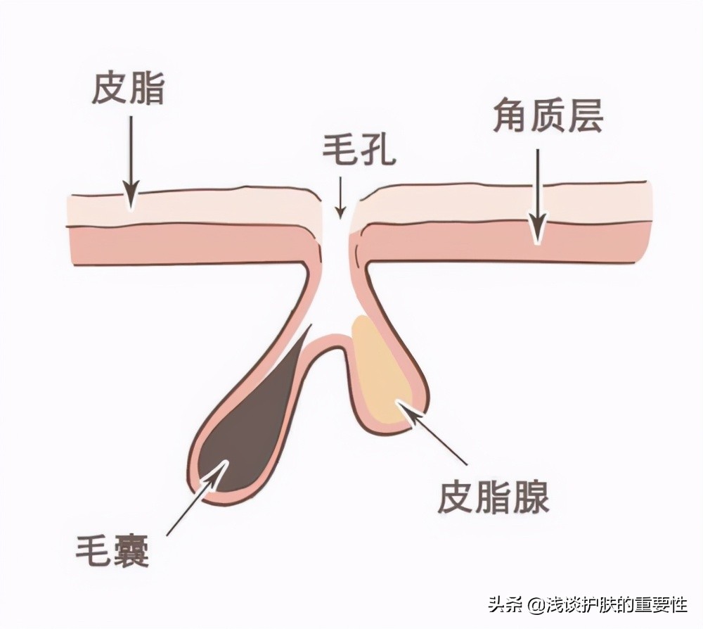 脸夏天出油冬天干燥,夏天脸出油用什么控油效果好
