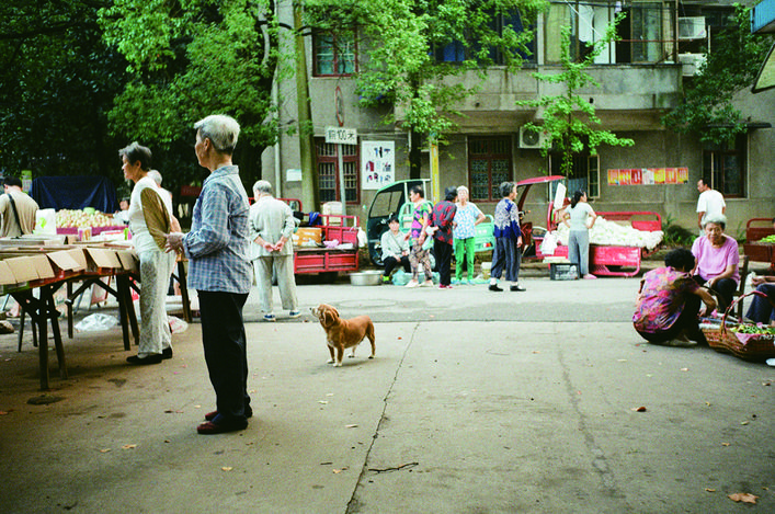没有培训的暑假是不完美的,没有补习班的暑假是不完整的