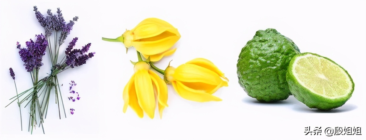 靠谱精油spa放松减压,梵音精油减压spa