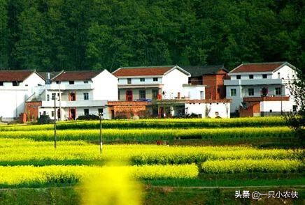 户口迁出农村，但农村还有房子，如果*迁拆**怎么办？