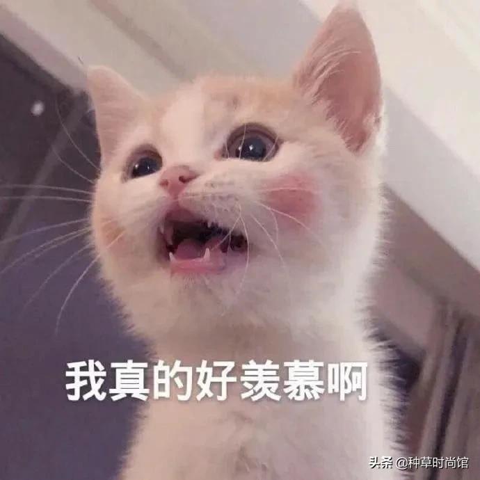 你的洗面奶在黑榜上吗,会烂脸的洗面奶黑名单