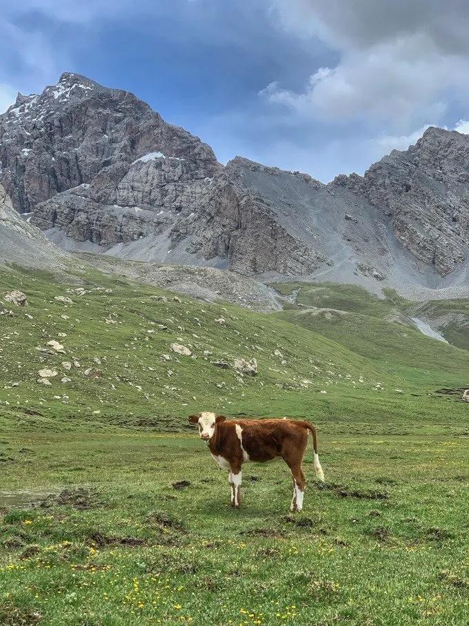6月徒步乌孙古道骑马穿越,几月去乌孙古道徒步合适