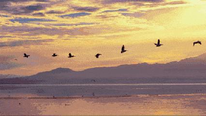 杭州湾新区发展前景好吗,杭州湾新区有没有发展前景