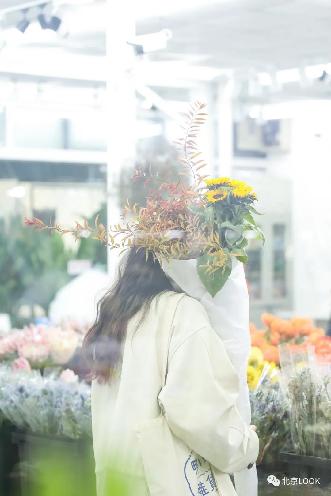 最便宜的北京花市,北京超好逛的花市