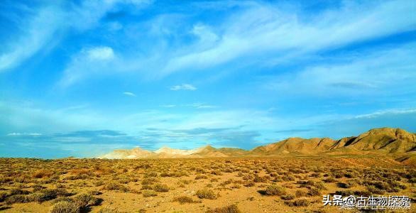 恐龙是目前发现的最古老的生物吗,恐龙是不是长颈鹿的祖先