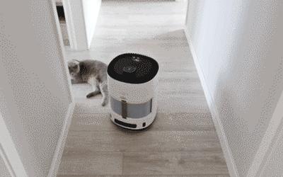 打造人宠共乐的家—“铲S官”的装修笔记