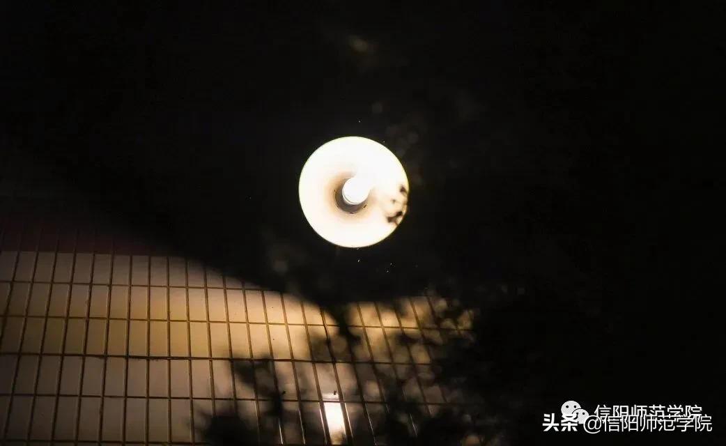 日落大道浪漫出逃歌词,在日落大道浪漫出逃下一句