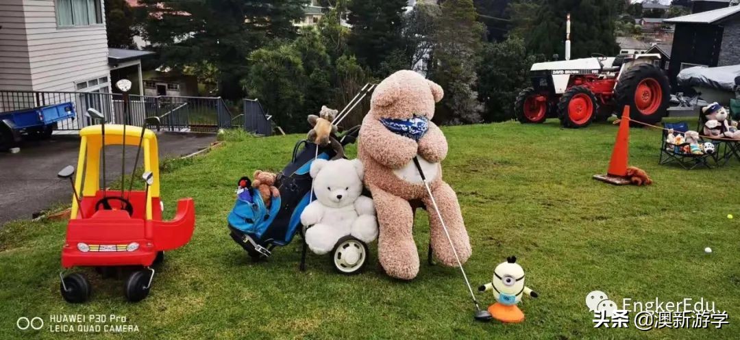 封城期间，玩偶一家的生活大揭秘