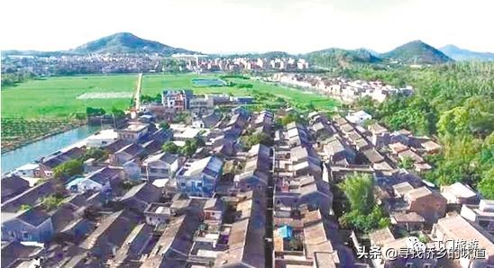 广东江门古老村庄,新会古井皇族村