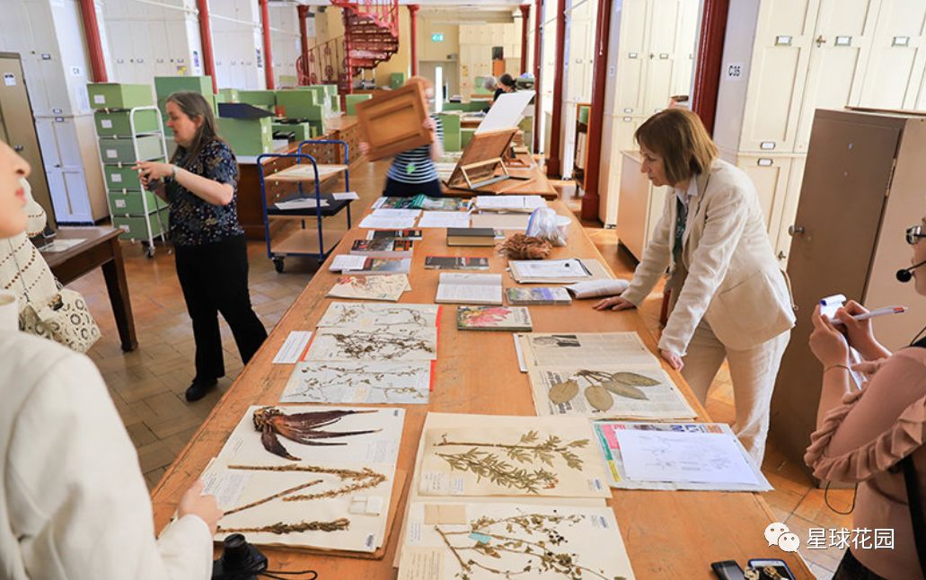 二木带你游花园|邱园（kewgarden）离我们到底有多远？