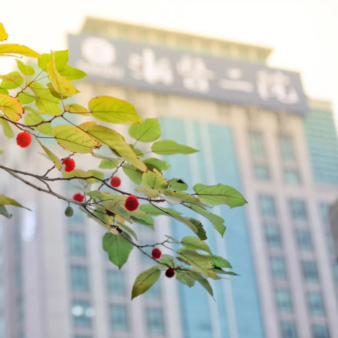 真香全文阅读,真香完结短篇