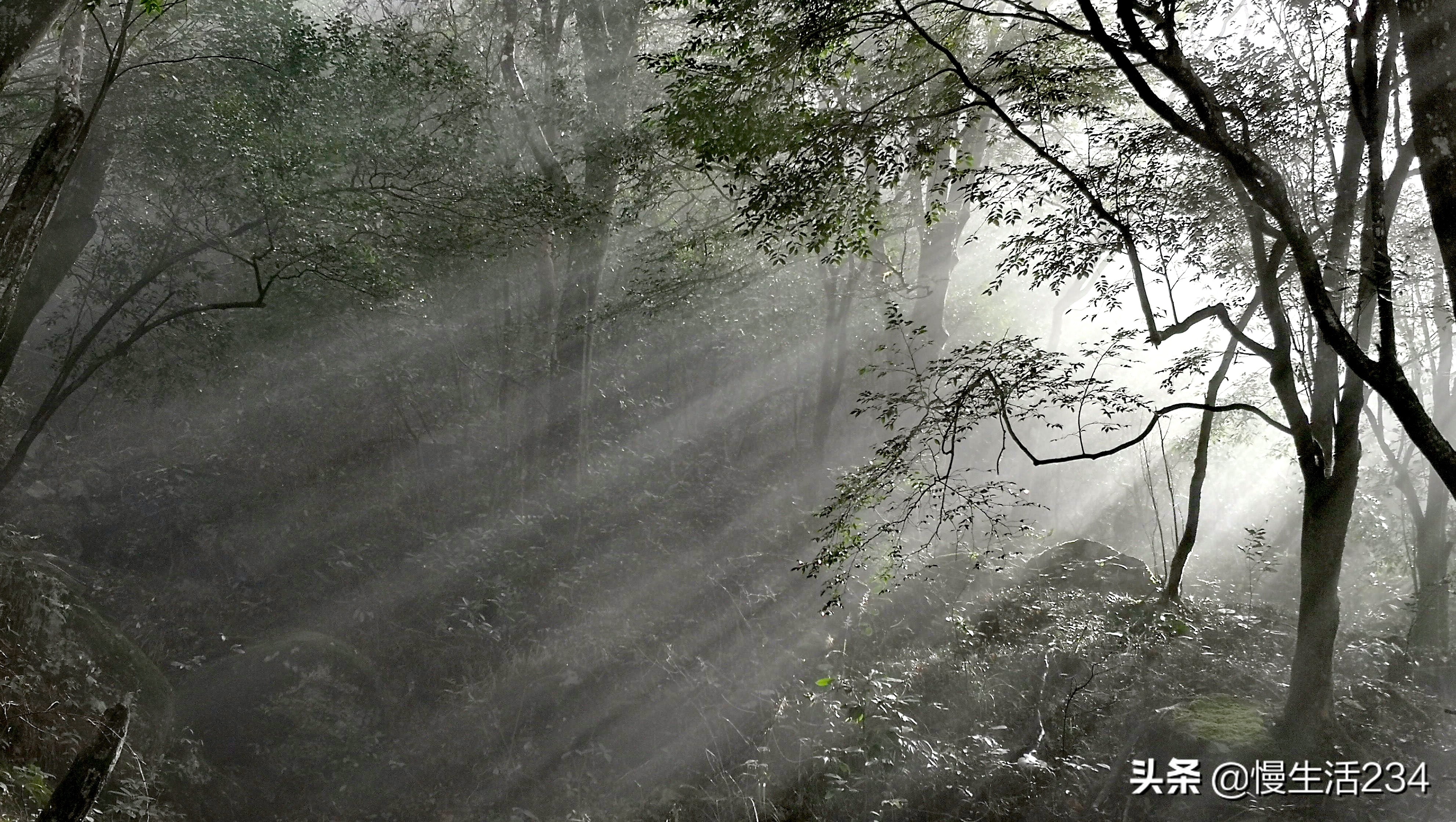 武功山有哪些山峰,江西最高山峰是武功山吗