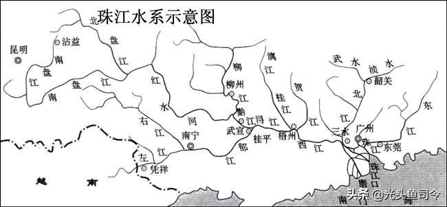 巨型鱼类印度,印度400斤巨大鱼