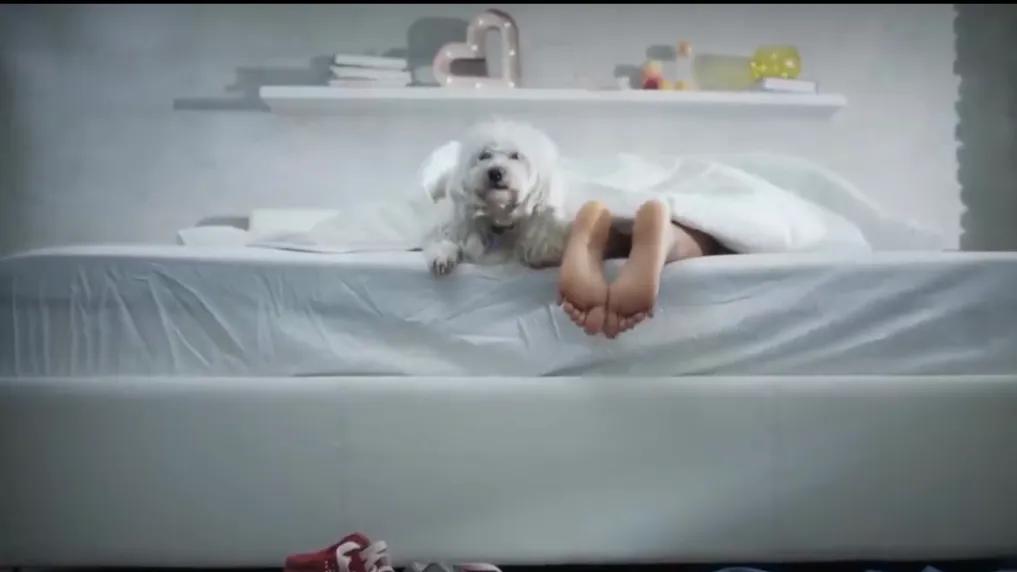 如果你躺在床上会发生什么,如果你在床上躺一年会发生什么