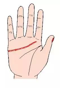 手相解密,手相掌纹分析学