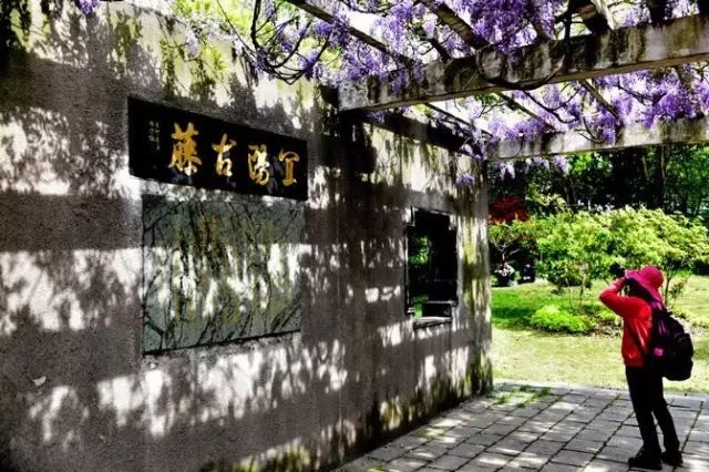 上海最低调的富豪家族,上海的隐藏富豪住在哪里