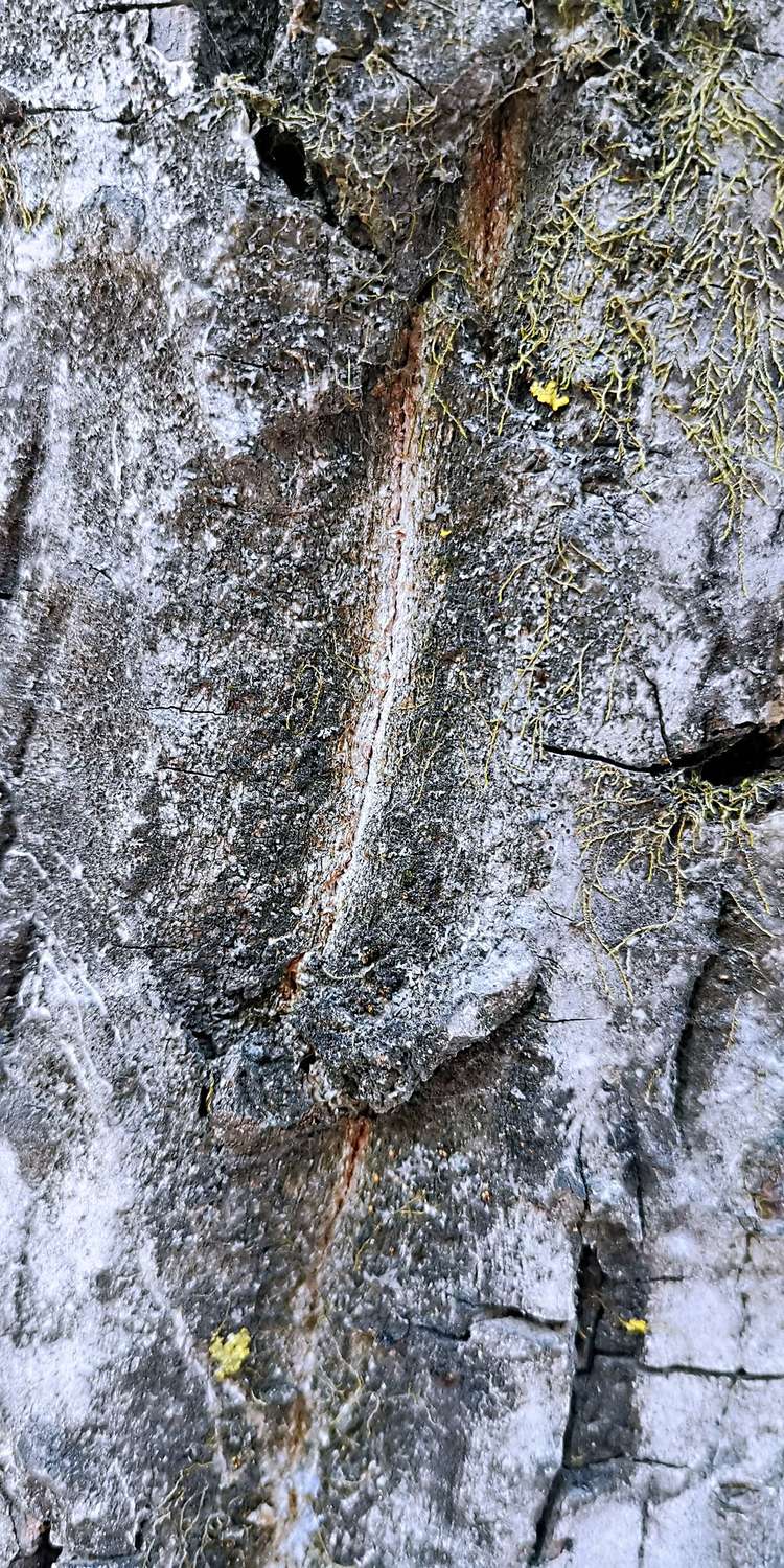 20210117独行太兴山，误入佛国秘境花石湾