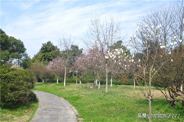 重游天一度假村,重游旧地去哪玩