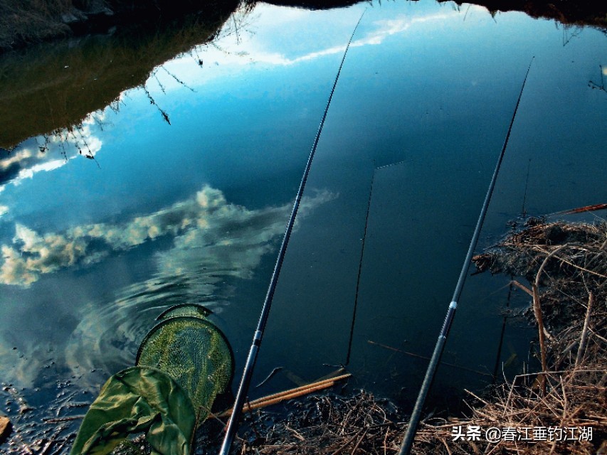 鲫鱼的钓法全部视频,钓鲫鱼高手就是厉害