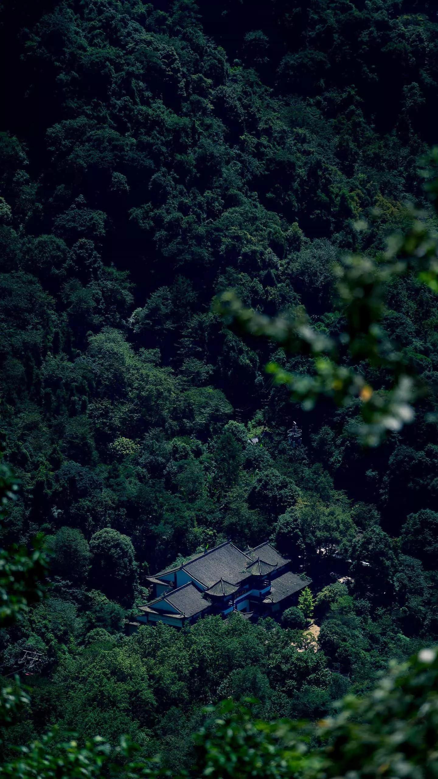 你想要的田园生活在哪里,你所向往的生活是什么