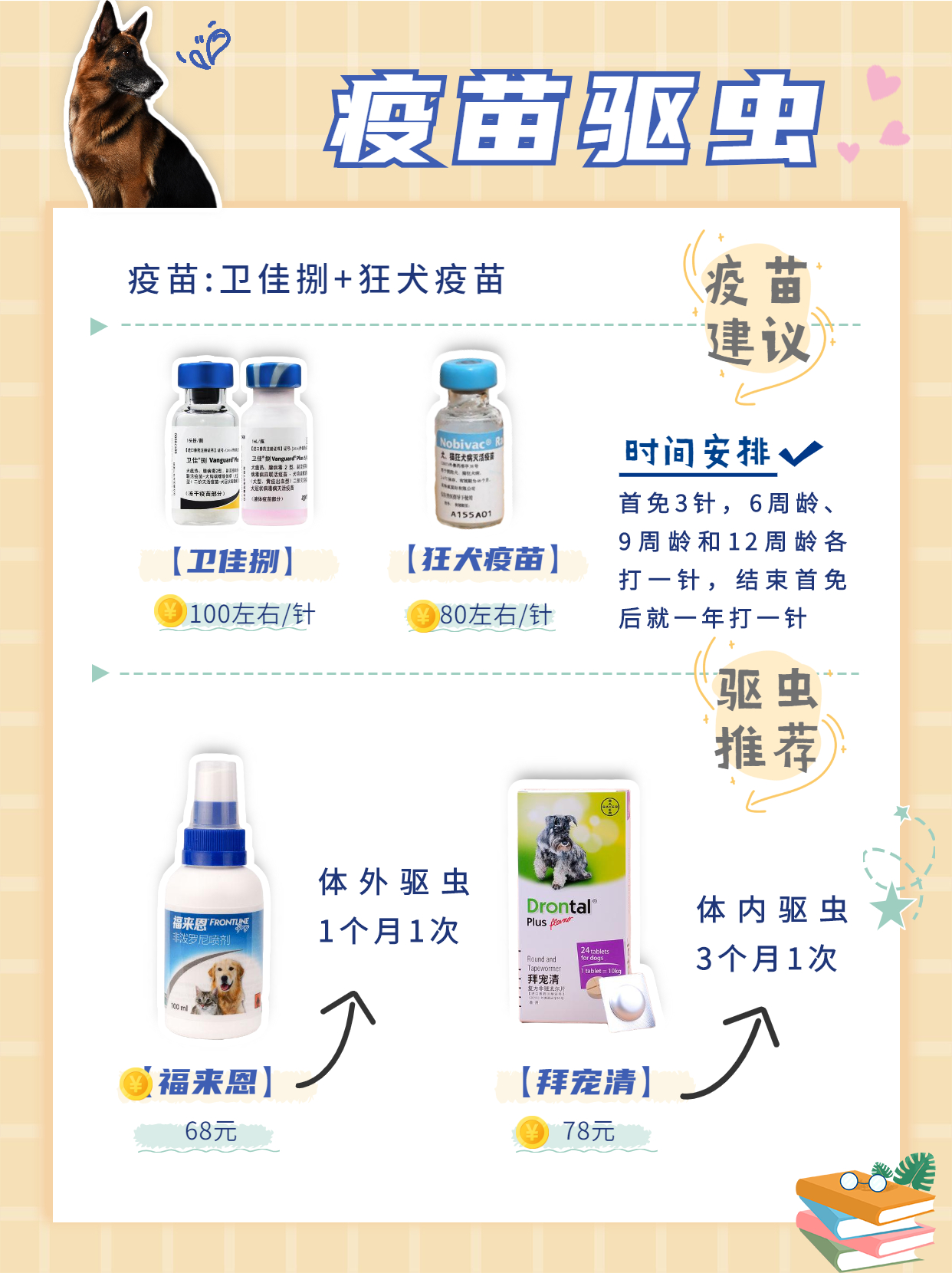 家庭喂养中亚牧羊犬好还是德牧好,养德国德牧狗需要知道的知识