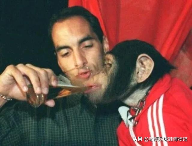 宸磋タ閲庡吔缃楃撼灏斿,宸磋タ缃楃撼灏斿琚涪