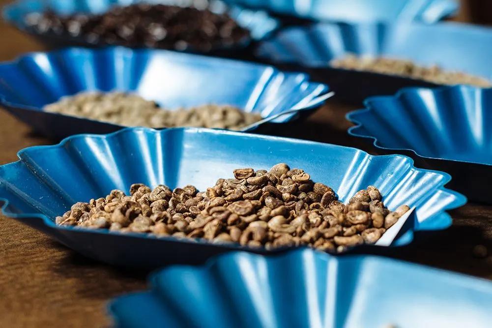 星巴克中国亏损了多少钱,星巴克去年亏损多少