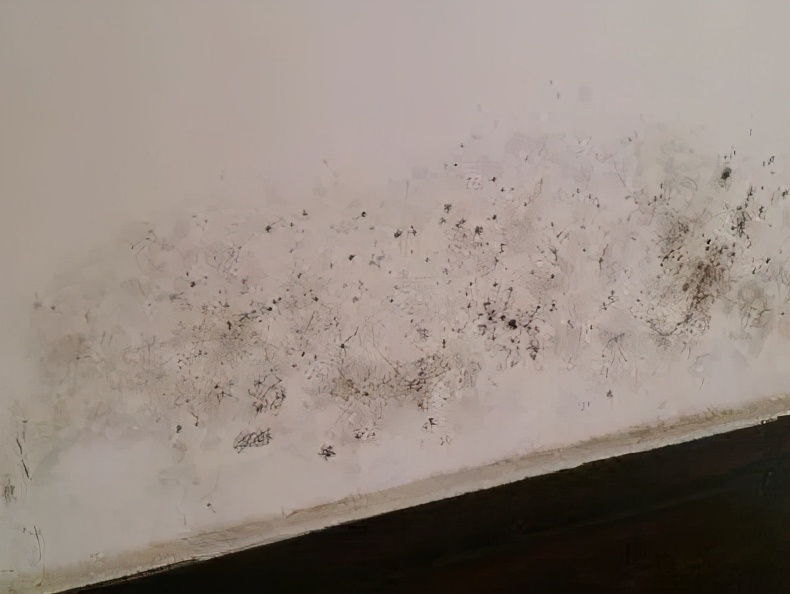 回潮天气怎么预防地板湿,墙角受潮发霉长蘑菇怎么处理