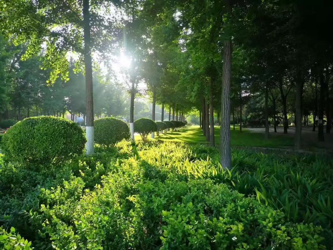 东营微文化完整版,东营微文化图片大全